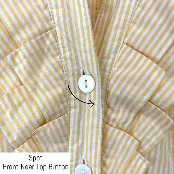 Anthropologie- fei Yellow Sleeveless Button Down - Picture 7 of 8